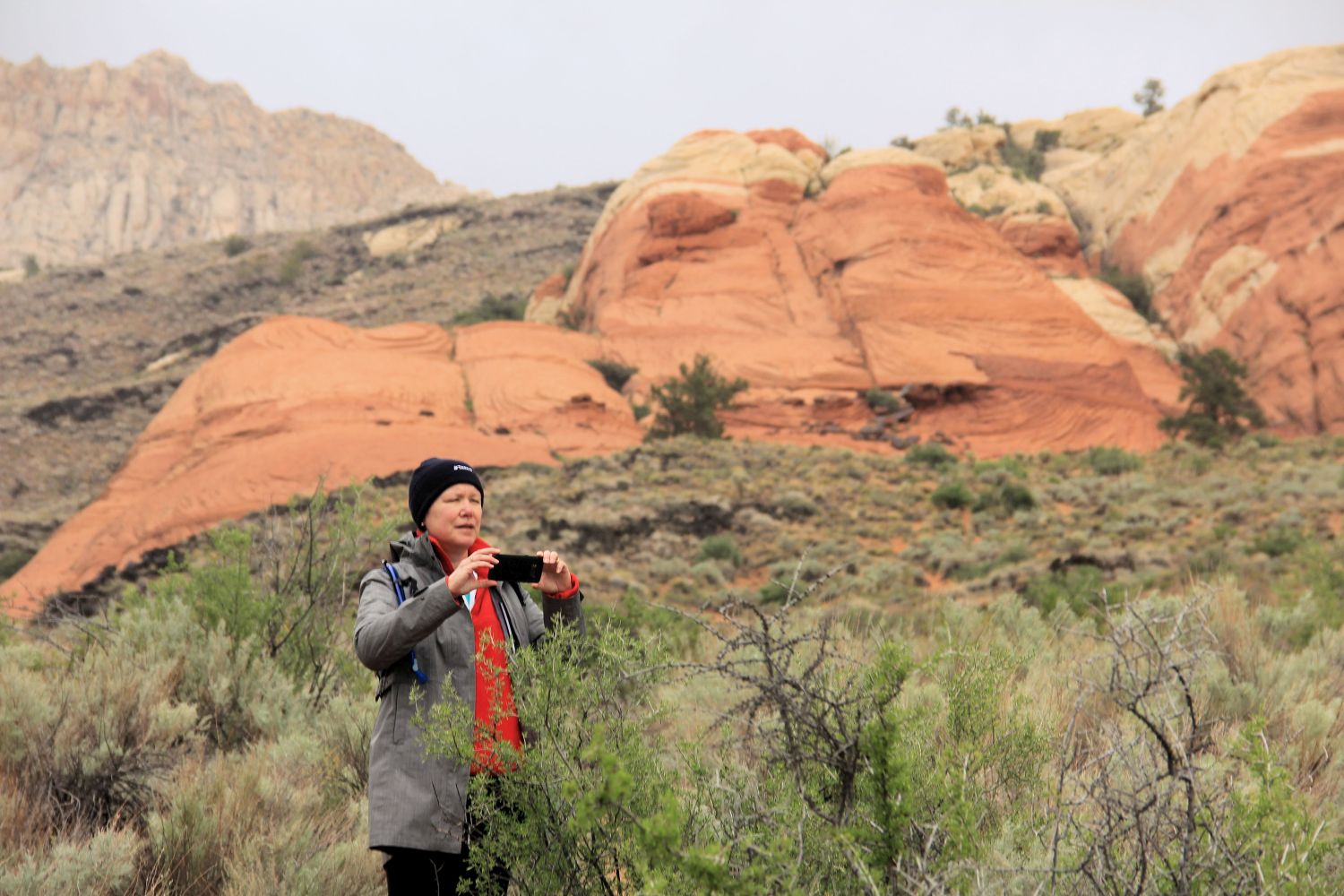 Snow Canyon State Park 